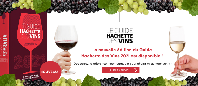 Bannière Basique Slide pour le site GHV (2).png